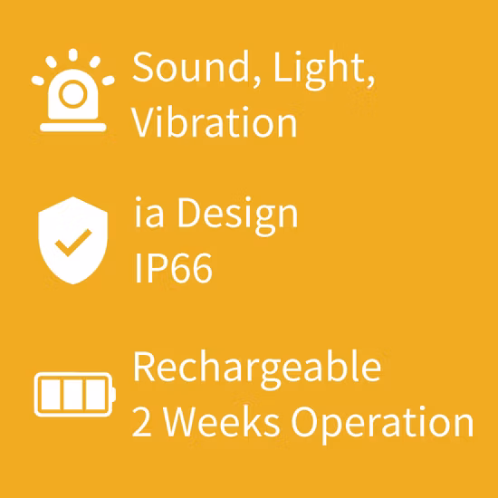 Portable 3 He Neutron Detector for Sales